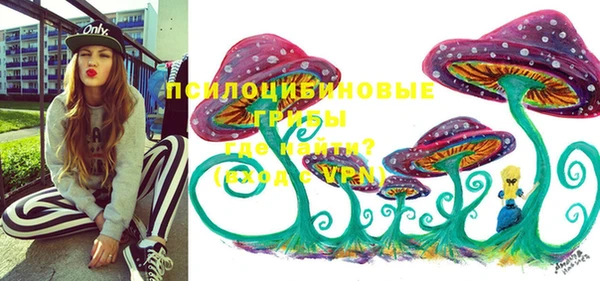 винт Арсеньев