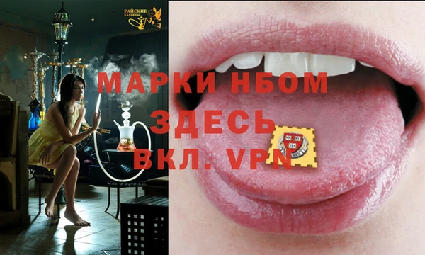 ГАЛЛЮЦИНОГЕННЫЕ ГРИБЫ Аркадак
