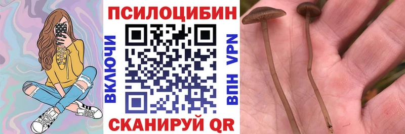 Галлюциногенные грибы мицелий  мега ТОР  Черноголовка 